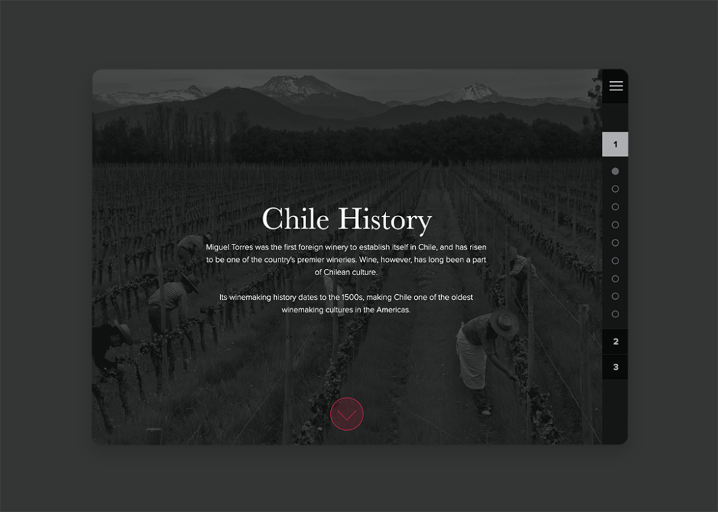 Course page of Chile history