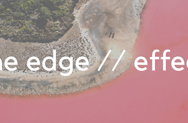 Aerial view of a coastline with the title “the edge // effect”