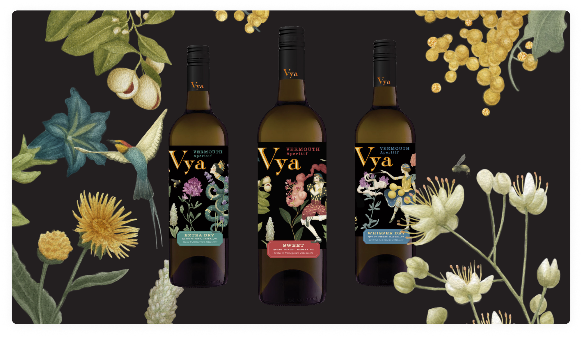Three Vya Vermouth bottles surrounded by botanical illustrations